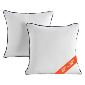 20 x 20 in Throw Pillow Inserts Pack of 2 White Down Alternative Pillows Square